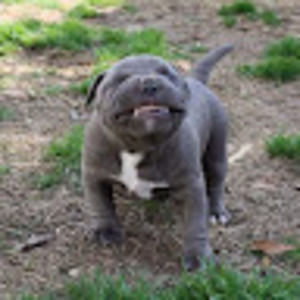 Meet your Posher, Jul